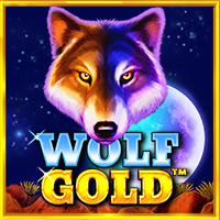 เล่นสล็อตเว็บตรง สูตรสล็อตเว็บตรง Wolf Gold 