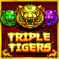 เล่นสล็อตเว็บตรง triple tigers
